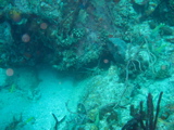 IMG_0845.JPG
