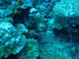 IMG_0747.JPG