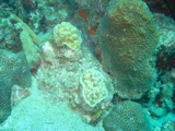 IMG_0847.JPG