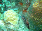 IMG_0848.JPG