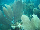 IMG_0849.JPG