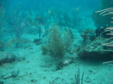 IMG_0850.JPG
