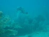 IMG_0852.JPG