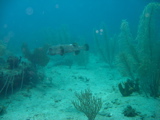 IMG_0853.JPG