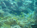 IMG_0855.JPG