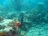 IMG_0856.JPG