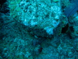 IMG_0749.JPG