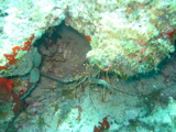 IMG_0857.JPG