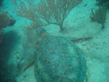 IMG_0859.JPG