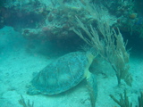 IMG_0860.JPG