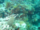 IMG_0861.JPG