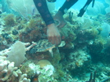 IMG_0862.JPG