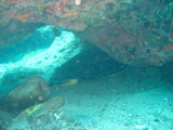 IMG_0863.JPG