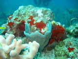 IMG_0864.JPG