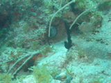 IMG_0865.JPG