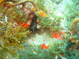 IMG_0866.JPG
