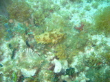 IMG_0868.JPG