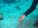IMG_0930.JPG