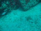 IMG_0935.JPG