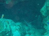 IMG_0936.JPG