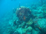 IMG_0937.JPG