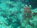 IMG_0938.JPG