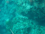 IMG_0939.JPG