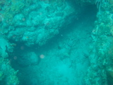 IMG_0940.JPG