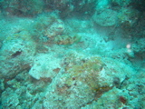 IMG_0945.JPG